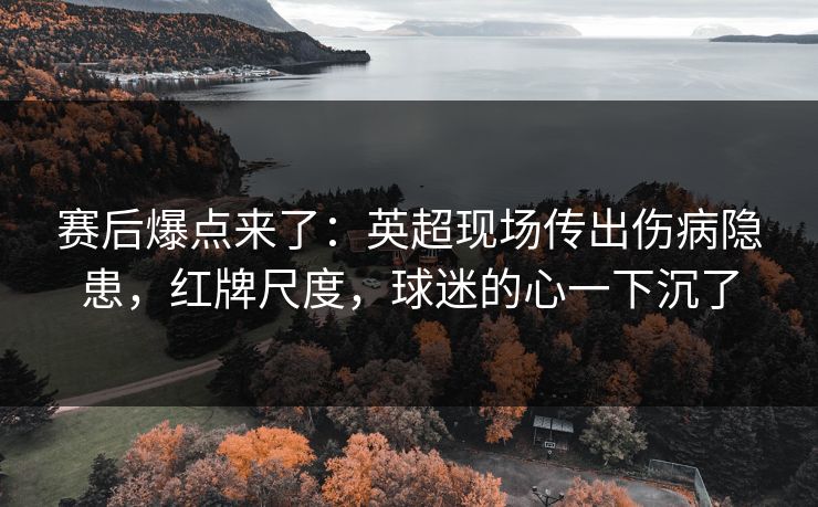 赛后爆点来了：英超现场传出伤病隐患，红牌尺度，球迷的心一下沉了  第1张