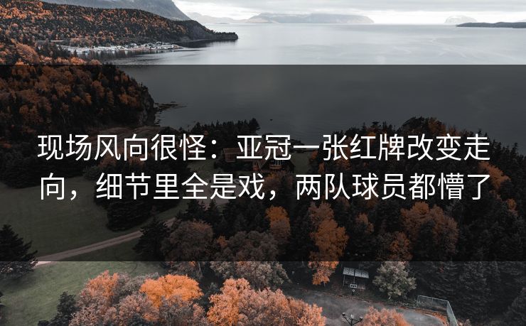现场风向很怪：亚冠一张红牌改变走向，细节里全是戏，两队球员都懵了  第1张