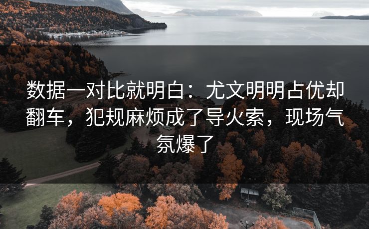 数据一对比就明白：尤文明明占优却翻车，犯规麻烦成了导火索，现场气氛爆了  第1张