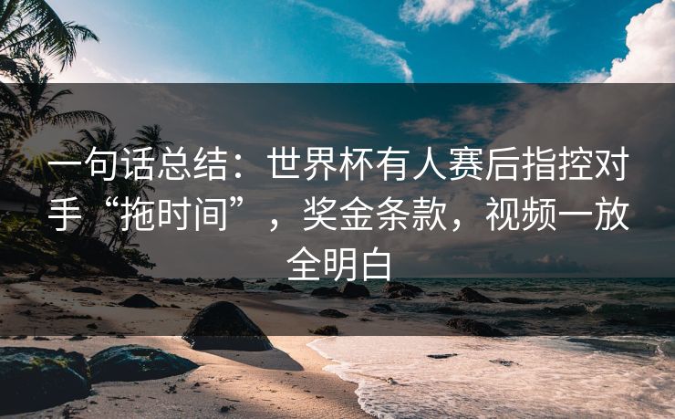 一句话总结：世界杯有人赛后指控对手“拖时间”，奖金条款，视频一放全明白  第1张