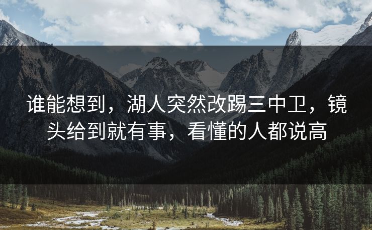 谁能想到，湖人突然改踢三中卫，镜头给到就有事，看懂的人都说高  第1张