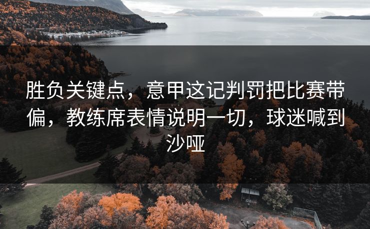 胜负关键点，意甲这记判罚把比赛带偏，教练席表情说明一切，球迷喊到沙哑  第1张